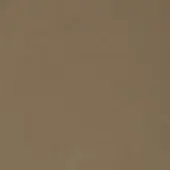 Natural velour texture sample, warm brown matte finish, dense granular pile, subtle shading variations, organic taupe tone.